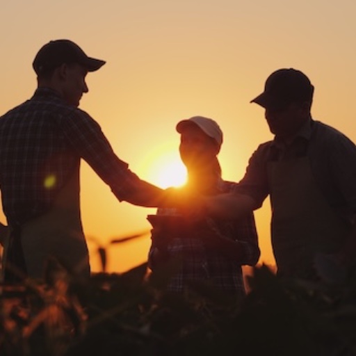 Photo of a silouette of people in a farm field